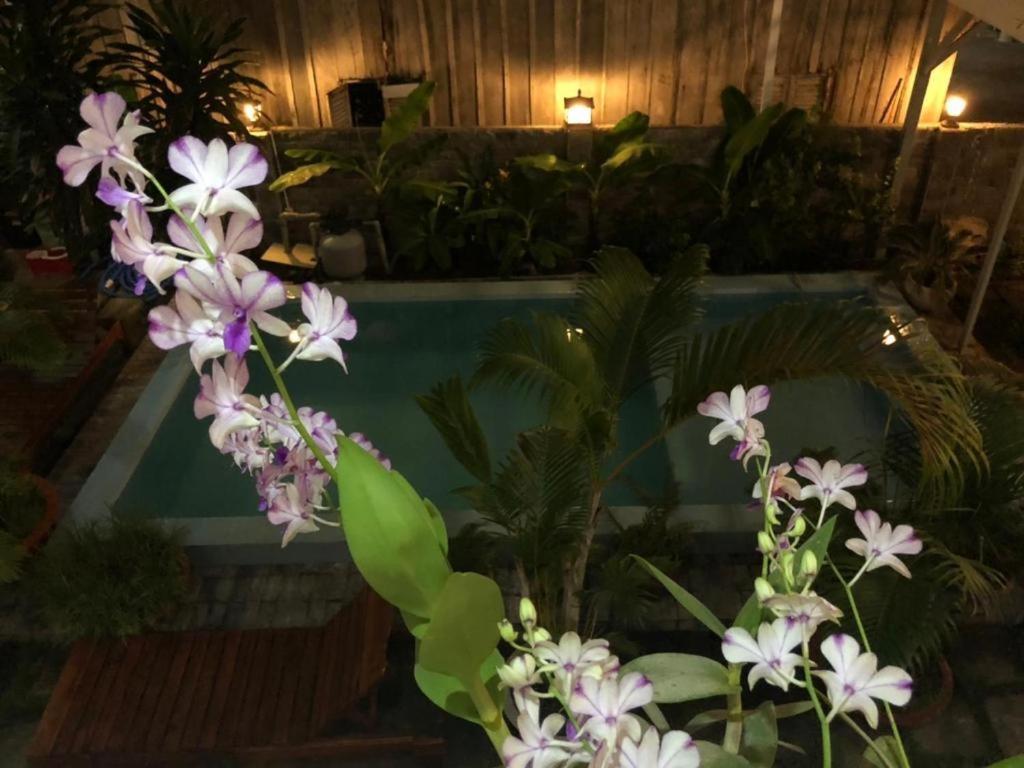 Orchid Hotel フーコック エクステリア 写真